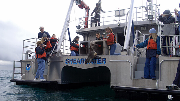 seals being released from the back of rv Shearwater